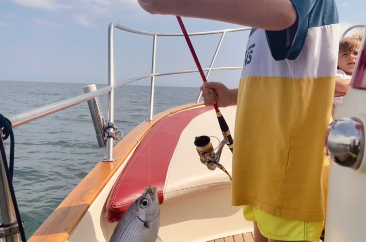 pêche en mer à la grande motte