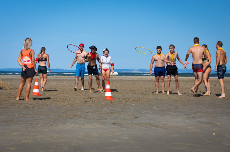 seminaire professionnel occitanie